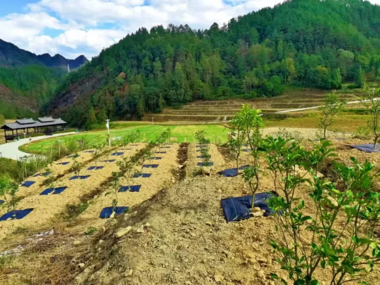 Pre-Cut Weed Control Fabric for Slopes & Terraced Planting